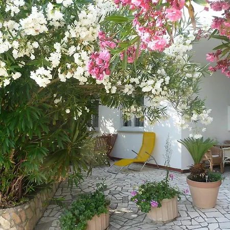 Apartment In Barbat/insel Rab 33328 *